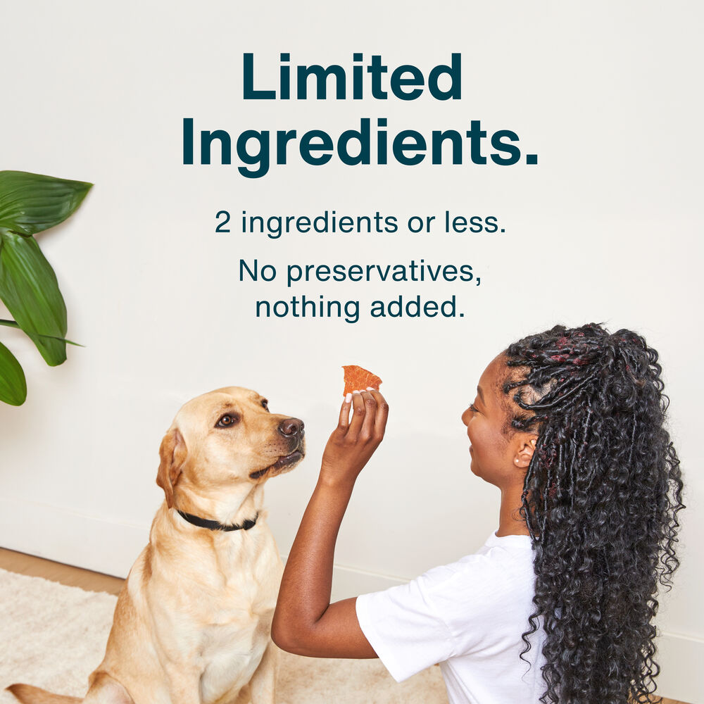 Healthy Skin & Coat Treats Bundle